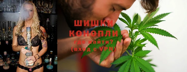 гидра Белокуриха