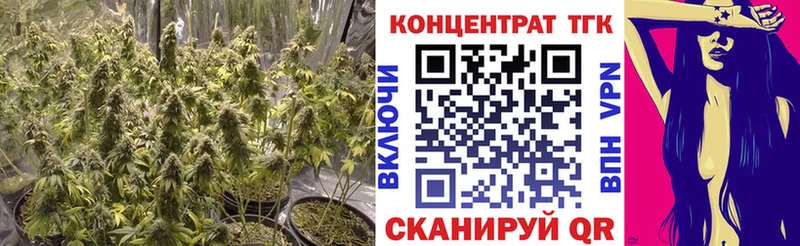 купить наркотики сайты  Великий Устюг  blacksprut зеркало  ТГК вейп 