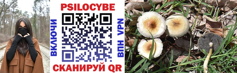 MEGA сайт  Великий Устюг  Галлюциногенные грибы Cubensis 